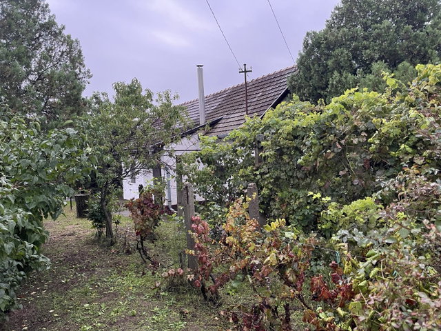 Eladó családi ház, Debrecenben 63 M Ft, 2 szobás