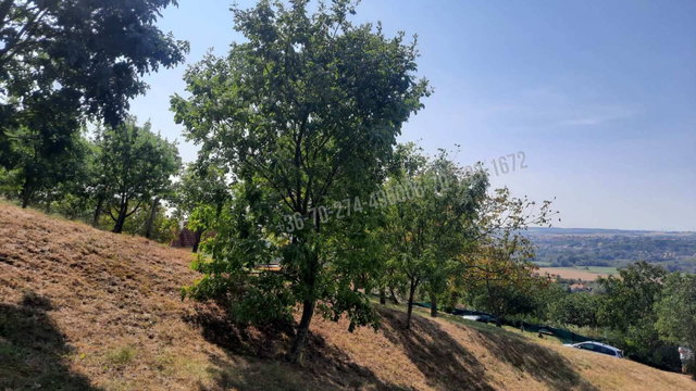 Eladó telek, Cserszegtomajon, Palotai utcában 25 M Ft