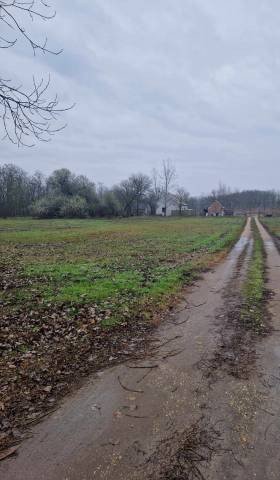 Eladó családi ház, Dabason 18 M Ft, 1 szobás