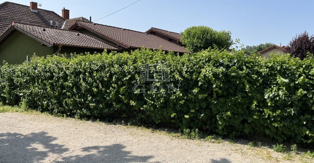 Eladó családi ház, Velencén 220 M Ft, 6+1 szobás