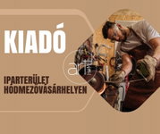 Kiadó ipari ingatlan, Hódmezővásárhelyen 690 E Ft / hó