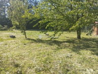 Eladó családi ház, Bodajkon 28 M Ft, 3 szobás