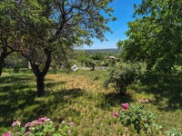 Eladó mezogazdasagi ingatlan, Tárnokon 69.9 M Ft