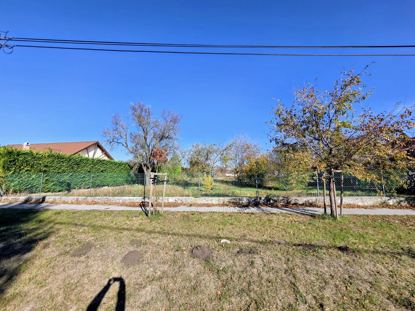 955m² · 39.990.000 ft