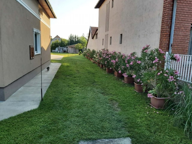 Eladó családi ház, Kisteleken 128 M Ft, 6 szobás