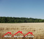 Eladó mezogazdasagi ingatlan, Békésen 22.2 M Ft