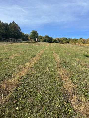 Eladó mezogazdasagi ingatlan, Homokkomáromon 5.95 M Ft