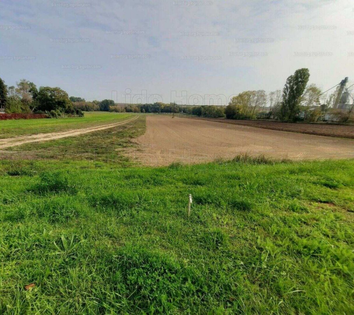 3433 m² · 79.900.000 Ft