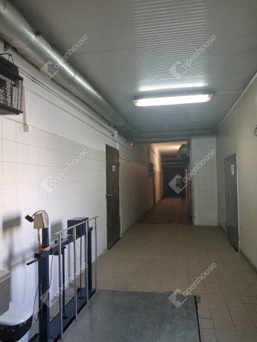 Eladó ipari ingatlan, Hódmezővásárhelyen 97 M Ft