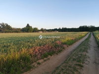 Eladó mezogazdasagi ingatlan, Sülysápon 29.9 M Ft