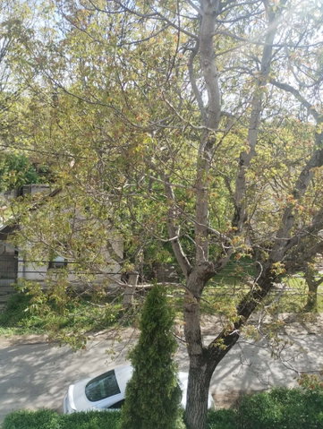 Kiadó családi ház, albérlet, Pomázon 200 E Ft / hó, 1+1 szobás