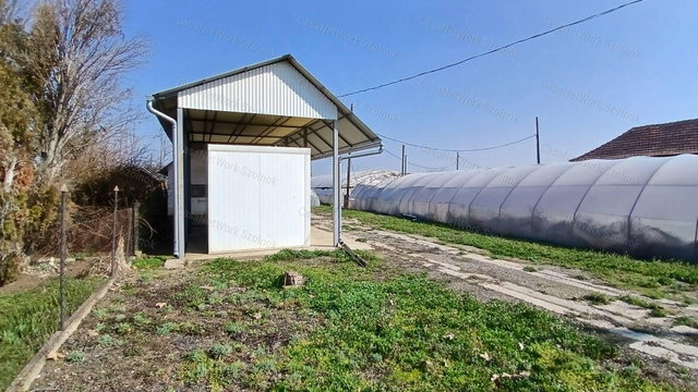 Eladó mezogazdasagi ingatlan, Tiszaföldváron 9.5 M Ft, 1 szobás