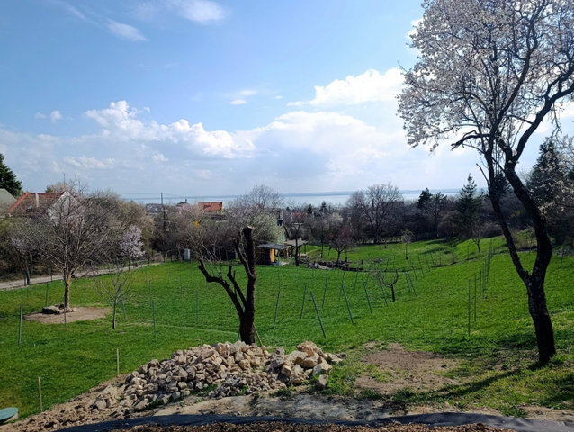 Eladó telek, Csopakon 79.9 M Ft / költözzbe.hu