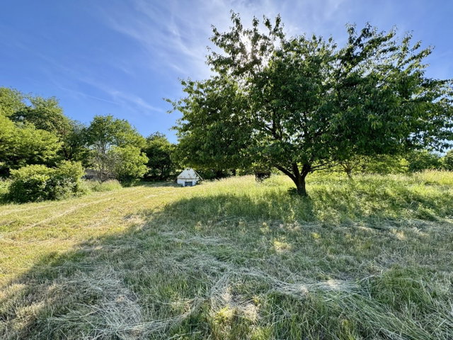 Eladó telek, Bazsiban 5.5 M Ft / költözzbe.hu