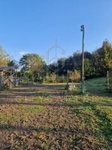 Eladó mezogazdasagi ingatlan, Balatonberényben 27 M Ft