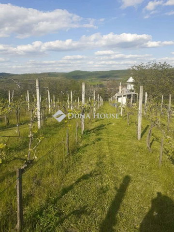 Eladó nyaraló, Ravazdon 27.5 M Ft, 1 szobás