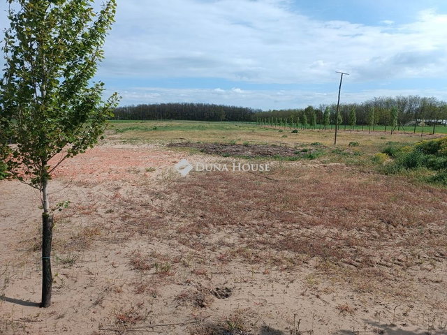 Eladó telek, Kiskunfélegyházán 8.5 M Ft / költözzbe.hu