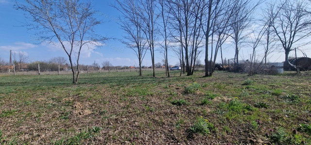 Eladó mezogazdasagi ingatlan, Cegléden 10.99 M Ft