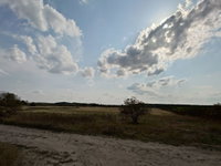Eladó mezogazdasagi ingatlan, Kecskeméten 13 M Ft, 1 szobás