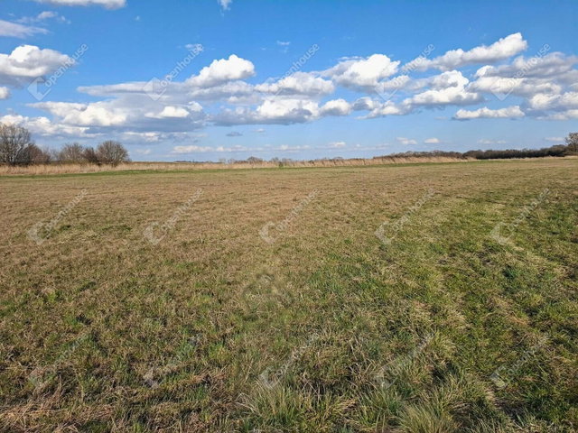 Eladó mezogazdasagi ingatlan, Ebergőcön 5.9 M Ft