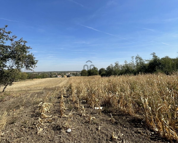 Eladó telek, Előszálláson 5.5 M Ft / költözzbe.hu