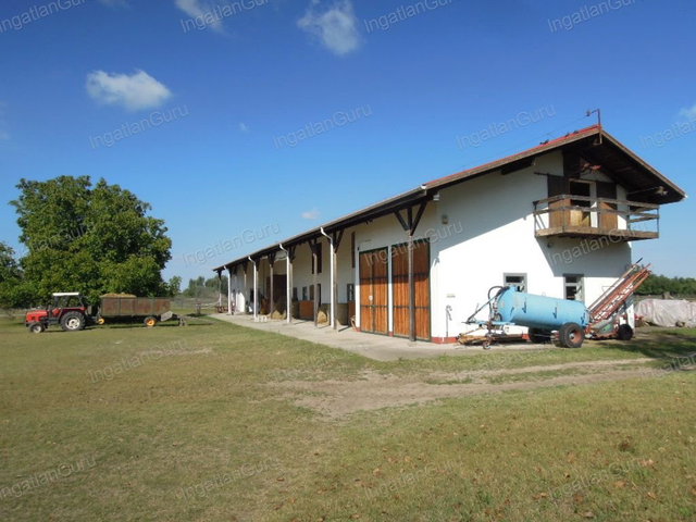 Eladó mezogazdasagi ingatlan, Lajosmizsén 307.5 M Ft