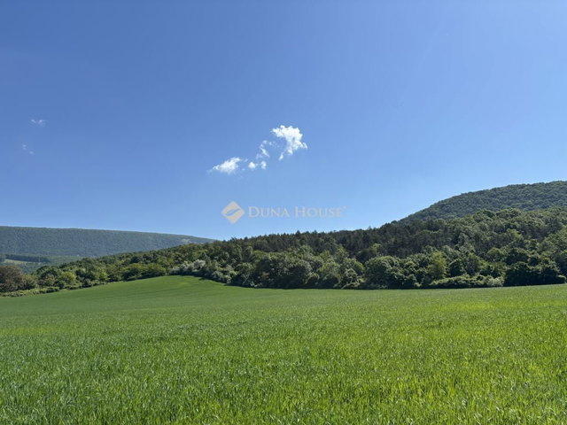 Eladó telek, Piliscséven 2.5 M Ft / költözzbe.hu