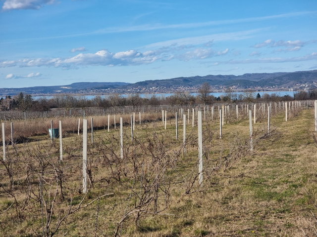 Eladó telek, Balatonberényben 14.9 M Ft / költözzbe.hu