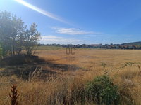 Eladó mezogazdasagi ingatlan, Budakalászon 500 M Ft