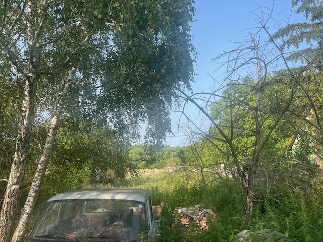 Telek · 3000 m² · 9.900.000 Ft