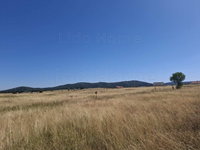 Eladó ipari ingatlan, Márkón 160 M Ft / költözzbe.hu