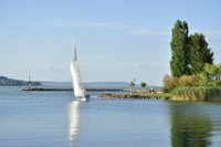 Eladó családi ház, Balatonföldváron 59 M Ft, 3 szobás