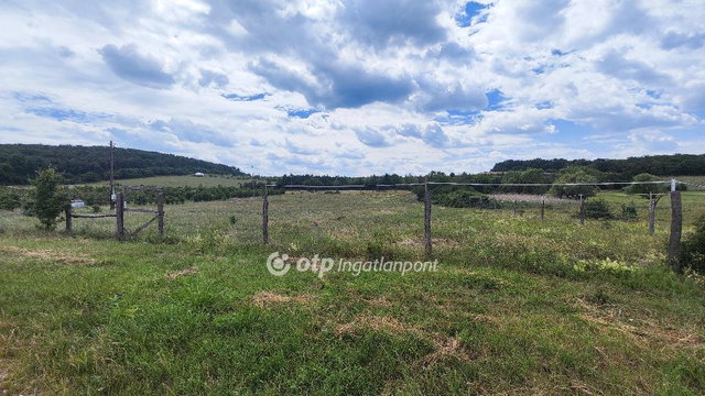 Eladó telek, Balatonszőlősön 24 M Ft / költözzbe.hu