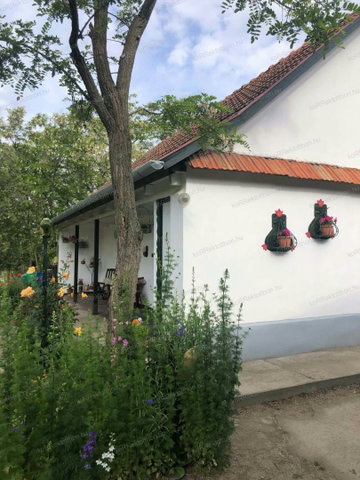 Eladó mezogazdasagi ingatlan, Jászszentandráson 34.99 M Ft