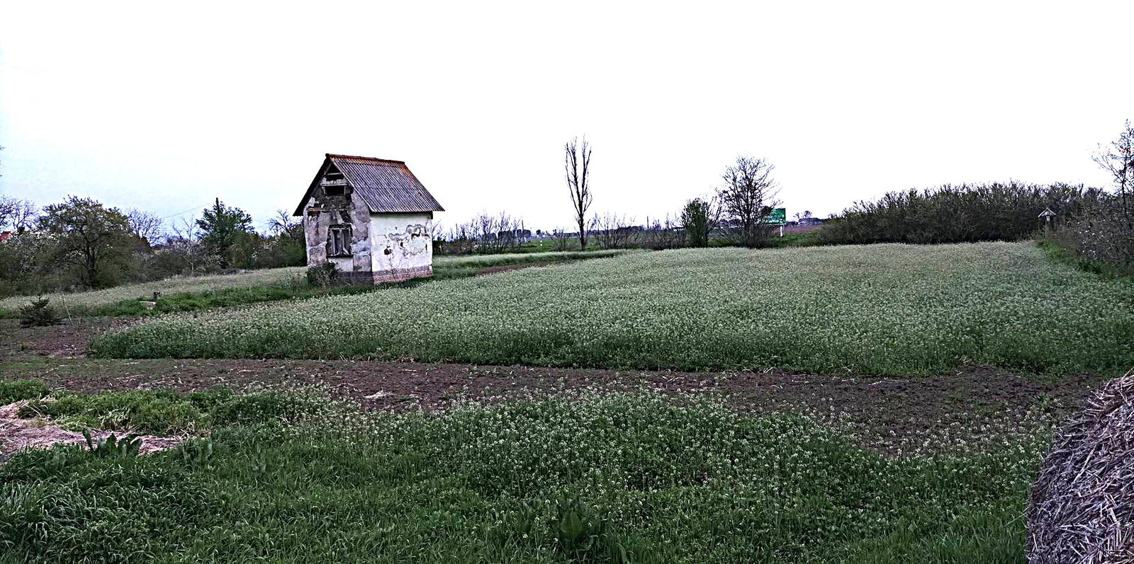 1 bed · 15m² · 4.500.000 ft