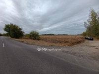 Eladó mezogazdasagi ingatlan, Bácsalmáson 180 M Ft