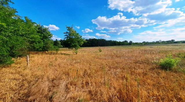 Eladó mezogazdasagi ingatlan, Fülöpházán 15.5 M Ft