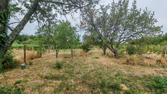 Eladó mezogazdasagi ingatlan, Szigetváron 6.99 M Ft, 1 szobás