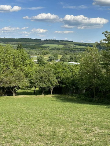 Eladó mezogazdasagi ingatlan, Zalacsányon 29.9 M Ft