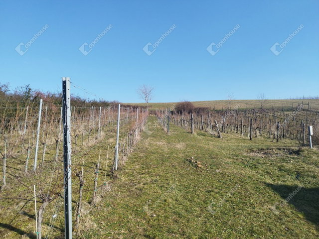 Eladó nyaraló, Kötcsén 37 M Ft, 2 szobás / költözzbe.hu