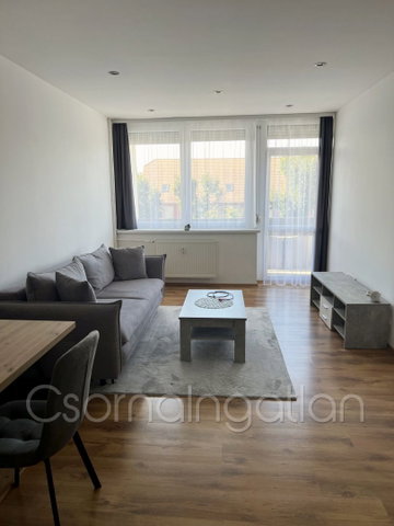 Kiadó téglalakás, albérlet, Kapuváron 160 E Ft / hó, 2 szobás