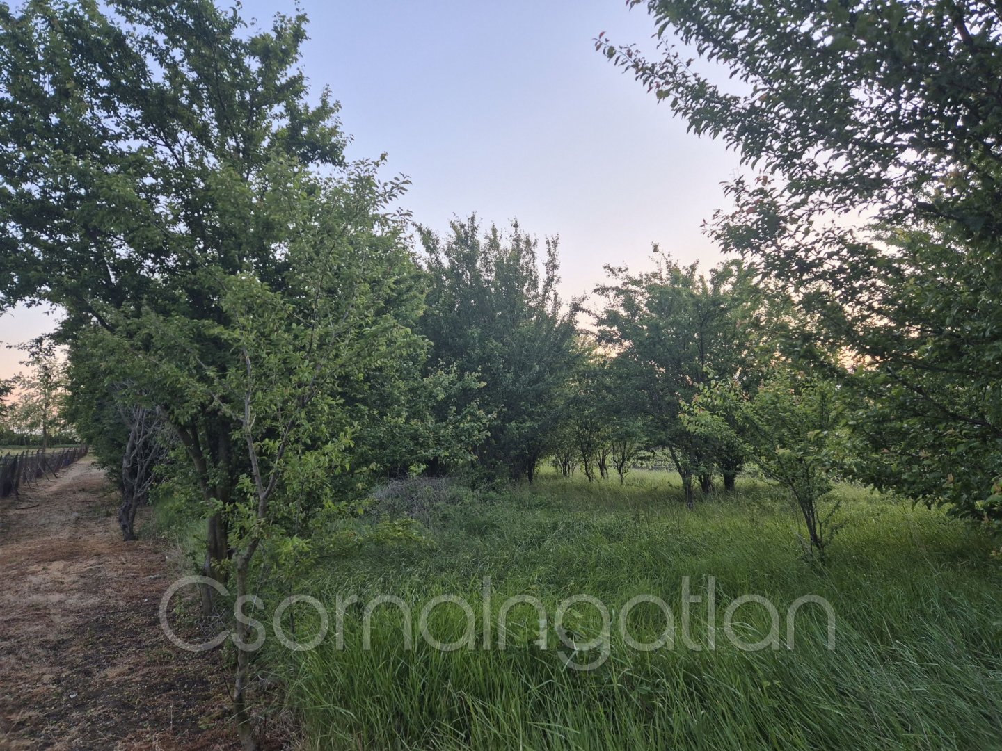 2863m² · 5.250.000 ft