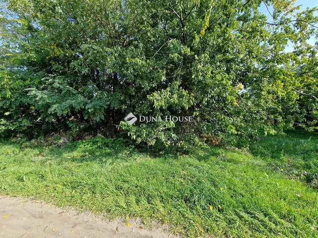 Eladó telek, Alapon 2.4 M Ft / költözzbe.hu