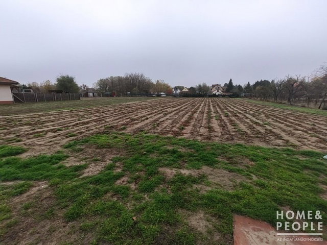 Eladó mezogazdasagi ingatlan, Zsombón 6.2 M Ft
