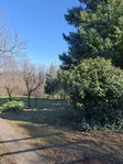 Eladó telek, Budaörsön 39 M Ft / költözzbe.hu