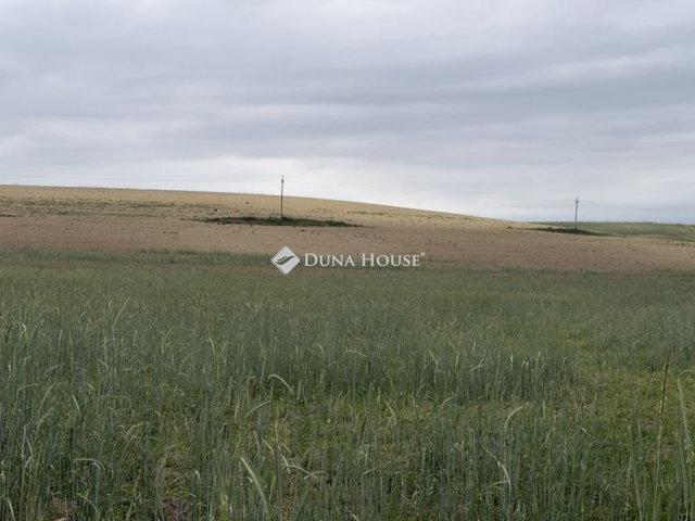 Eladó mezogazdasagi ingatlan, Szomódon 5.5 M Ft