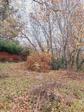 Eladó telek, Szentendrén 42.9 M Ft / költözzbe.hu