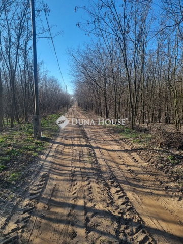 Eladó telek, Debrecenben, Diószegi úton 600 M Ft