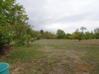 Eladó családi ház, Papkeszin 45 M Ft, 2 szobás