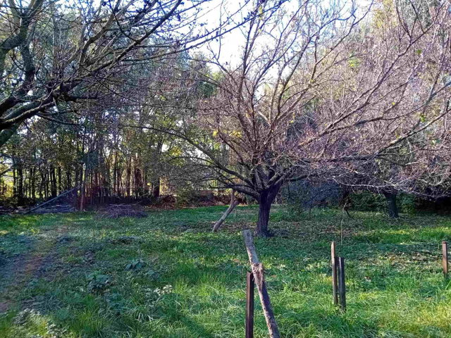 Eladó telek, Győrladaméren 23.9 M Ft / költözzbe.hu